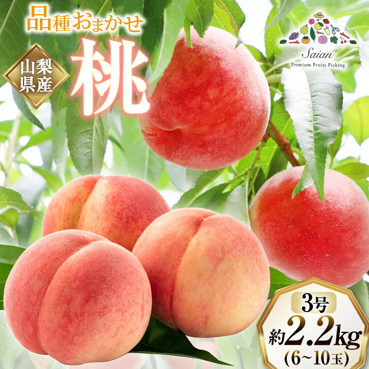 【2026年発送】訳あり 桃 もも 白鳳 or 白桃 3号 約2.2kg (6〜10玉) モモ 果物 フルーツ 山梨 期間限定 季節限定 冷蔵 農福連携 [斎庵 山梨県 韮崎市 20745277]