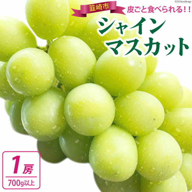 【期間限定発送】【当日収穫！当日出荷！】 シャインマスカット 2026 予約 朝どれ 1房 700g 以上シャイン マスカット 山梨 山梨県産 ぶどう ブドウ 葡萄 山梨 フルーツ 果物 くだもの 産直 [モリモリファーム 山梨県 韮崎市 20743904]