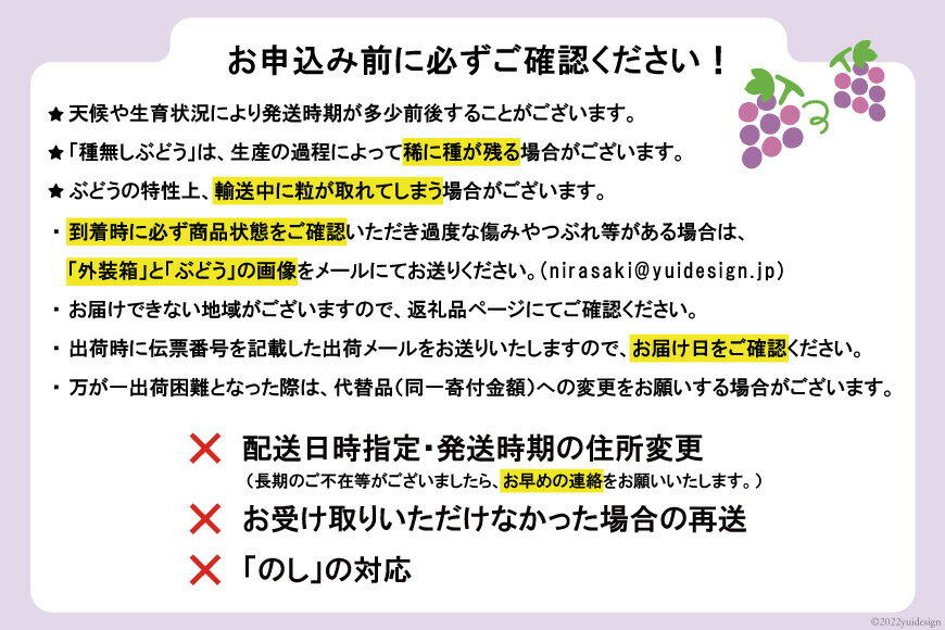 【ふるさと納税】 【期間限定発送】【当日収穫！当日出荷！】 シャインマスカット 2026 予約 朝どれ 1房 700g 以上シャイン マスカット 山梨 山梨県産 ぶどう ブドウ 葡萄 山梨 フルーツ 果物 くだもの 産直 [モリモリファーム 山梨県 韮崎市 20743904] サムネイル3