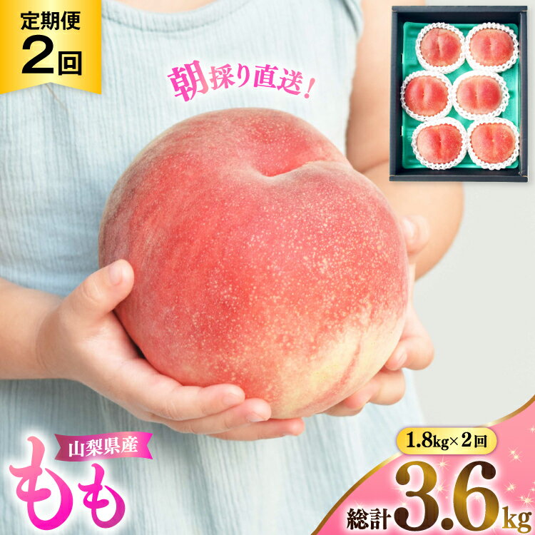 【2026年発送】桃 山梨 山梨県産 もも 2回定期便 1.8kg×2回 モモ 果物 くだもの フルーツ 定期 定期便 フルーツ定期便 NS-1014 [韮崎翠緑 山梨県 韮崎市 20743072]