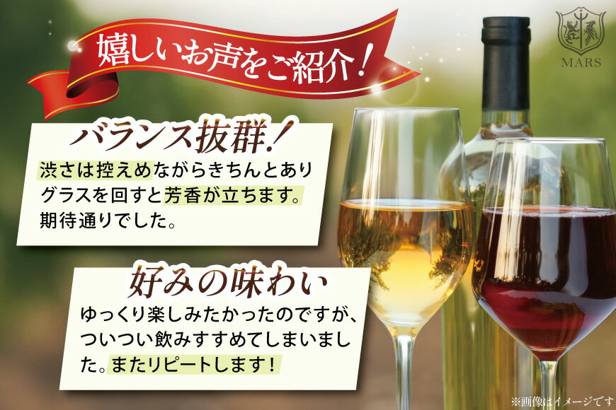 【ふるさと納税】 ワイン 定期便 12回 毎月 赤 白 赤ワイン 白ワイン スパークリング 飲み比べ セット マルスセレクト おまかせ ソムリエ 日本ワイン お酒 ぶどう 果実酒 ワインセット ギフト 送料無料 [本坊酒造 マルス穂坂ワイナリー 山梨県 韮崎市 20743307] サムネイル3
