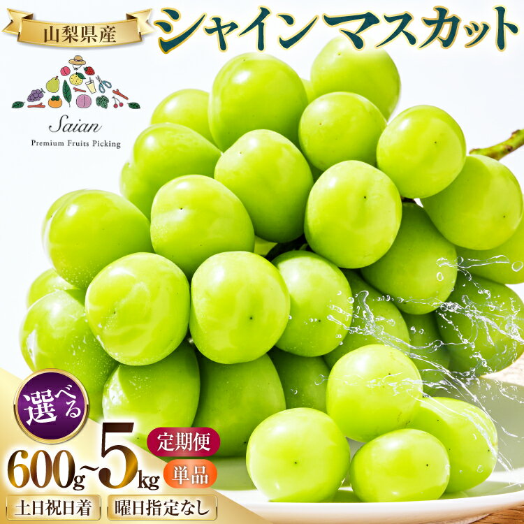 【2026年発送】 シャインマスカット 山梨 選べる土日着 600g〜5kg 定期便 600g 700g 1.2kg 2kg 2キロ 定期 フルーツ 果物 くだもの マスカット シャイン 山梨 ぶどう ブドウ 葡萄 種無し 先行予約 [斎庵 山梨県 韮崎市 20743909]