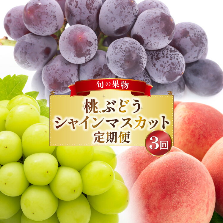 フルーツ 定期便 3回 山梨 旬な果物 大満足3種セット 桃 2.2kg(6〜10玉) ぶどう 900g(2房) シャインマスカット 1.2kg(2房) [斎庵 山梨県 韮崎市 20743911] フルーツ定期便 果物 くだもの 定期 マスカット シャイン 葡萄 ぶどう ブドウ 巨峰 ピオーネ もも