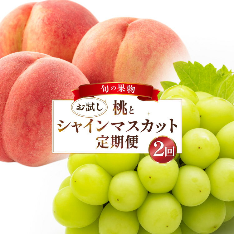 フルーツ 定期便 2回 山梨 旬な果物 お試しセット 桃 1.1kg(3〜5玉) シャインマスカット 600g(1房) [斎庵 山梨県 韮崎市 20745282] フルーツ定期便 果物 くだもの 定期 マスカット シャイン 葡萄 ぶどう ブドウ もも momo