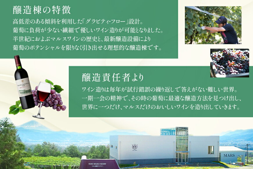 【ふるさと納税】 ワイン 山梨 赤 赤ワイン わいん お酒 酒 Wine フルボディ メルロー カルベネ ソーヴィニヨン 穂坂三之蔵ルージュ 750ml 母の日 父の日 記念日 ギフト 送料無料[本坊酒造株式会社マルス穂坂ワイナリー 山梨県 韮崎市 20743924] サムネイル3