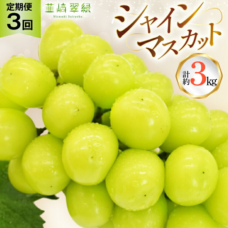 【2026年発送！先行予約！】韮崎翠緑セレクト！シャインマスカット定期便 約1.0kg×3回 NS-1020 [韮崎翠緑 山梨県 韮崎市 20744987] シャインマスカット シャイン マスカット ぶどう ブドウ 葡萄 マスカット 種なし 果物 フルーツ 山梨県産
