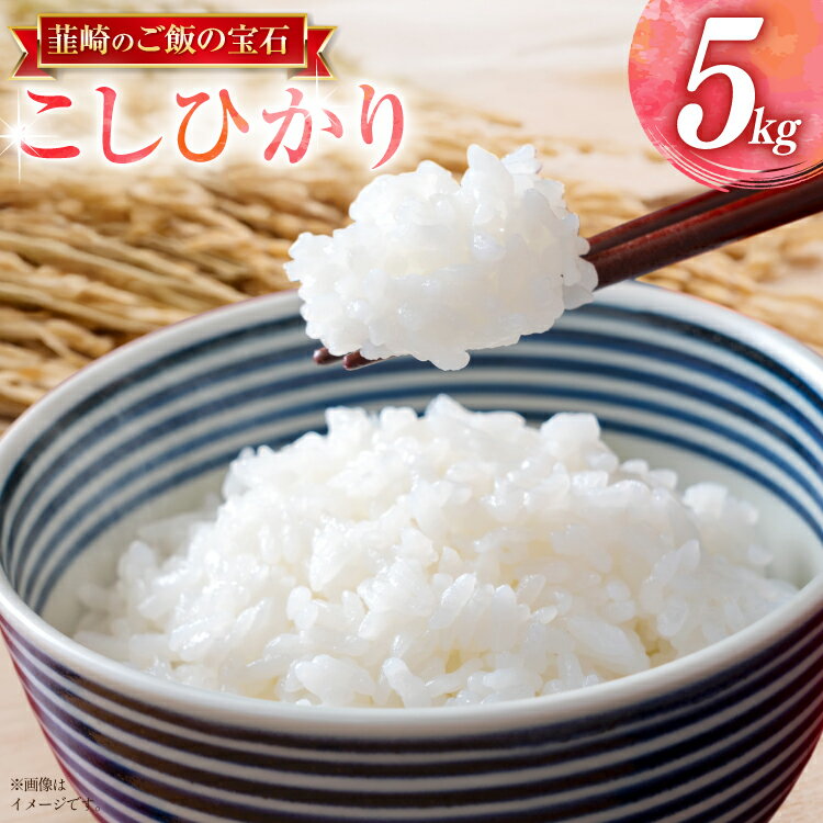 令和8年 先行予約 武川米コシヒカリ 5kg お米 米 こめ こしひかり 白米 kome 8年産 5キロ 精米 山梨県 送料無料 ライス ブランド米 コメ 人気 [駒井農園 山梨県 韮崎市 20745372]
