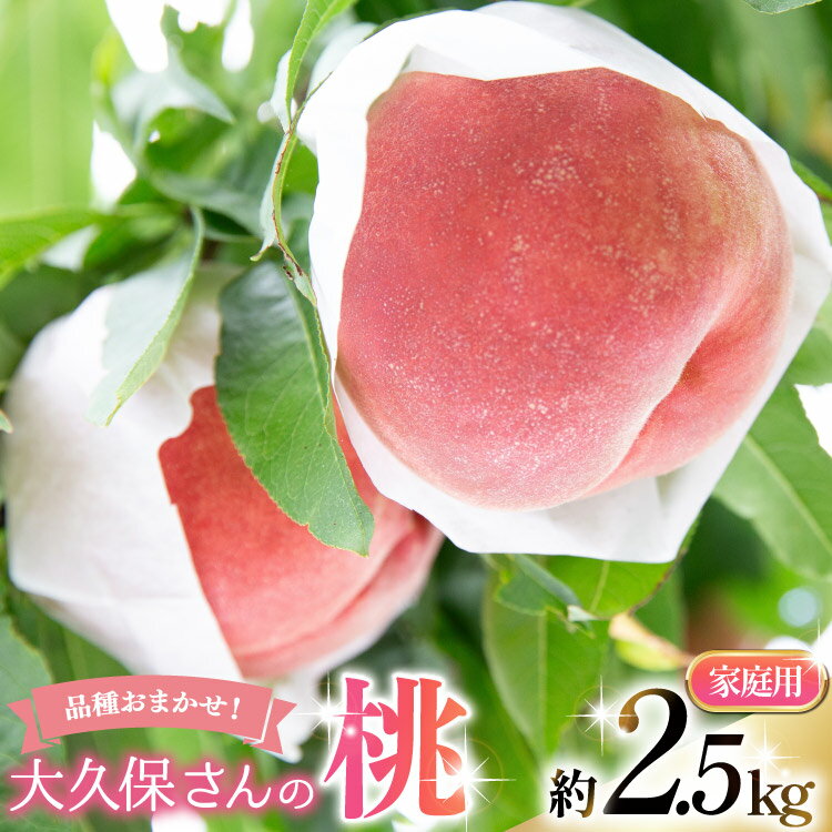 【2026年発送】 桃 もも モモ フルーツ 果物 旬 くだもの 大久保さんの桃 約2.5kg（家庭用） 2.5キロ 山梨県産 産地直送 季節限定 期間限定 新鮮 朝どれ [大久保桃園 山梨県 韮崎市 20745242]