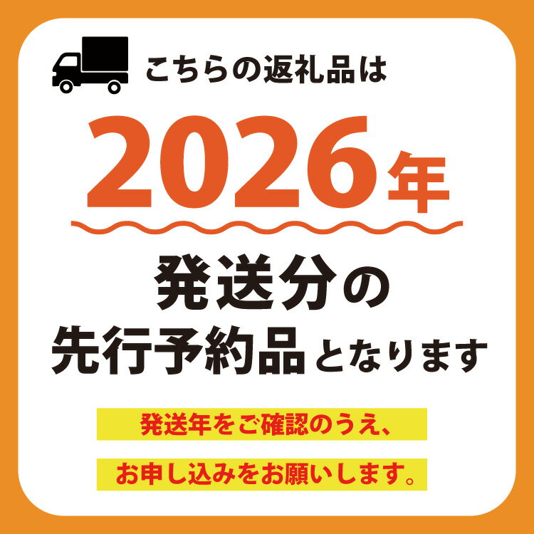 【ふるさと納税】 【2026年発送】訳あり 桃 山梨 良品 朝どれ 大玉 約 2.0kg 4～6玉 家庭用 朝獲れ もぎたて もも モモ フルーツ 果物 山梨県産 産地直送 期間限定 季節限定 冷蔵 農家直送 白鳳 夢みずき 浅間白桃 なつっこ [韮崎市桃農家の産直 山梨県 韮崎市 20745234] サムネイル3