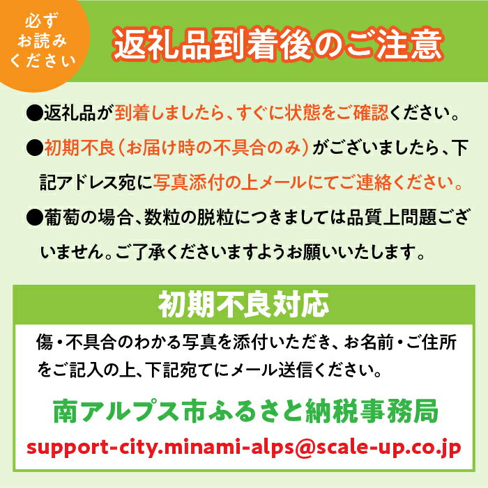 【ふるさと納税】＜2026年発送先行予約＞光センサー桃「黄金桃」約3kg ふるさと納税 おすすめ 山梨県 南アルプス市 送料無料 ALPAA017 サムネイル3