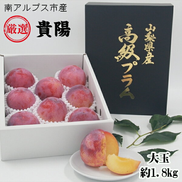 ＜2026年発送先行予約＞ 南アルプス市産　『貴陽』　特選大玉約1.8kg（7～10玉） ふるさと納税 おすすめ 山梨県 南アルプス市 送料無料 ALPDD014