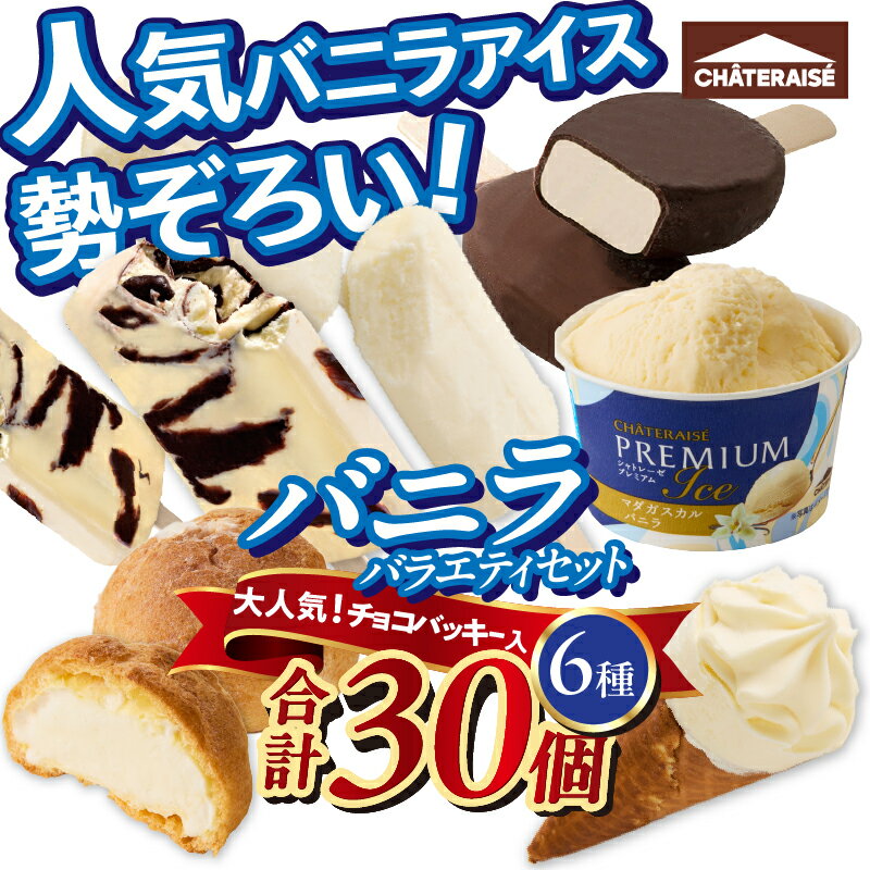 【ふるさと納税】 ★高評価 シャトレーゼ アイス バニラアイス バニラ 食べ比べ チョコバッキー ピュルテ 八ヶ岳南牧村契約牧場しぼりたて牛乳バー CHATERAISE PREMIUM ふっくらシューアイス 詰め合わせ セット 人気 山梨県 北杜市 送料無料 h028 サムネイル2