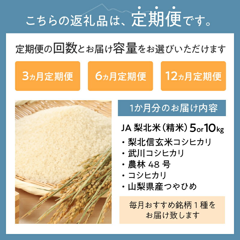 【ふるさと納税】 お米 米 精米 定期便 選べる回数 3ヶ月 6ヶ月 12ヶ月 選べる容量 5kg 10kg おまかせ銘柄 梨北信玄米コシヒカリ 武川コシヒカリ 農林48号 コシヒカリ 山梨県産 つやひめ 甘み 粘り 山梨最大の米処 北杜市武川町産 送料無料 【令和7年度米】 - 画像3