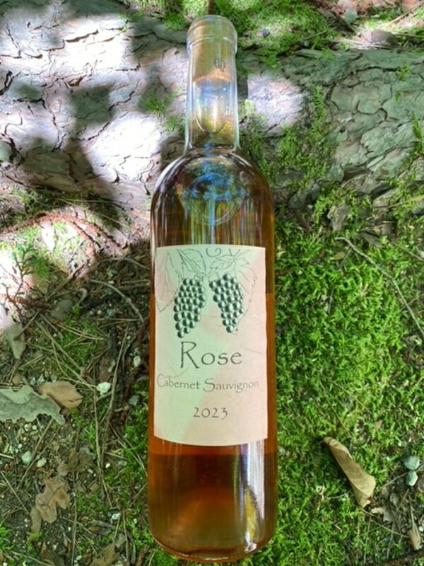 【ふるさと納税】 ワイン 赤ワイン 白ワイン ロゼ 4種類 受賞ワイン カベルネ・ソーヴィニヨン 信濃リースリング ピノ・ノワール シャルドネスパークリング シャンクレール モンデ酒造 御勅使川ワイナリー 720ml 750ml 4本セット お酒 アルコール 明野 ブドウ 送料無料 サムネイル2