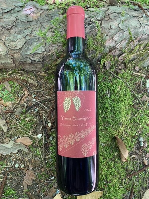 【ふるさと納税】 ワイン セット 赤ワイン 4種類 特別品種 ヤマソーヴィニヨン 志太乃輝 樽発酵 北杜の雫 プティヴェルド シャンクレール 御勅使川ワイナリー モンデ酒造 720ml 750ml 4本セット お酒 アルコール 北杜 明野 ブドウ 送料無料 サムネイル2