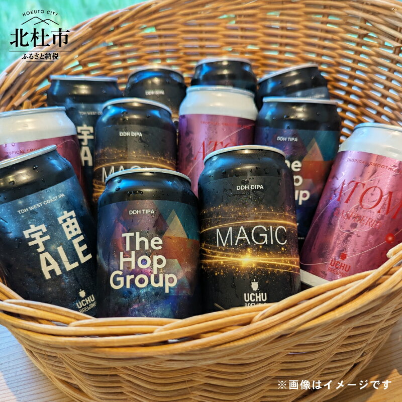 うちゅうブルーイング クラフトビール セット 12本 350ml 宇宙ビール うちゅうビール 飲み比べ 八ヶ岳 せんのや 送料無料