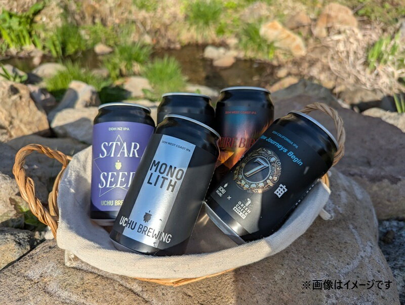 【ふるさと納税】 クラフトビール ソーセージ ウインナー ベーコン 詰め合わせ セット 選べる 本数 3本 6本 350ml 宇宙ビール うちゅうブルーイング シポラタウインナー チョリソーソーセージ ソフトベーコン 食べ比べ 飲み比べ 送料無料 サムネイル2