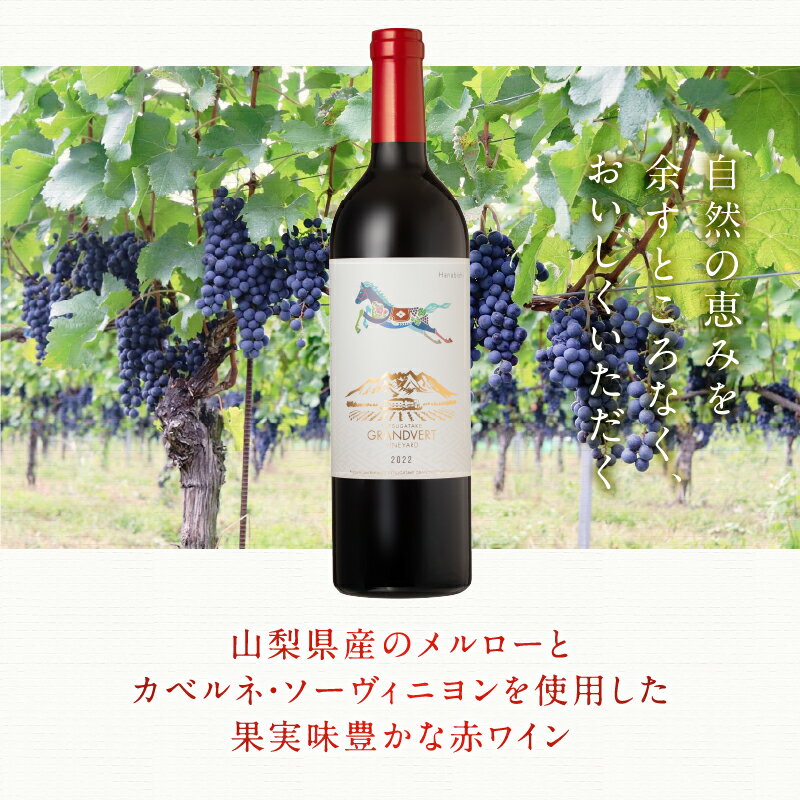 【ふるさと納税】 ワイン 赤ワイン メルロー カベルネ・ソーヴィニヨン 2022 750ml 選べる数量 1本 2本 数量限定 赤 国産ワイン 山梨県産 韮崎産 白州産 北杜市産 タンニン 樽香 果実味 ジューシー 記念日 贈り物 プレゼント 母の日 父の日 送料無料 サムネイル2