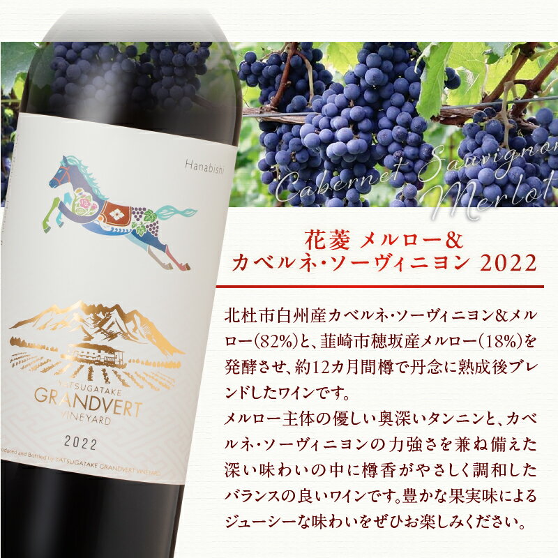 【ふるさと納税】 ワイン 赤ワイン メルロー カベルネ・ソーヴィニヨン 2022 750ml 選べる数量 1本 2本 数量限定 赤 国産ワイン 山梨県産 韮崎産 白州産 北杜市産 タンニン 樽香 果実味 ジューシー 記念日 贈り物 プレゼント 母の日 父の日 送料無料 サムネイル3