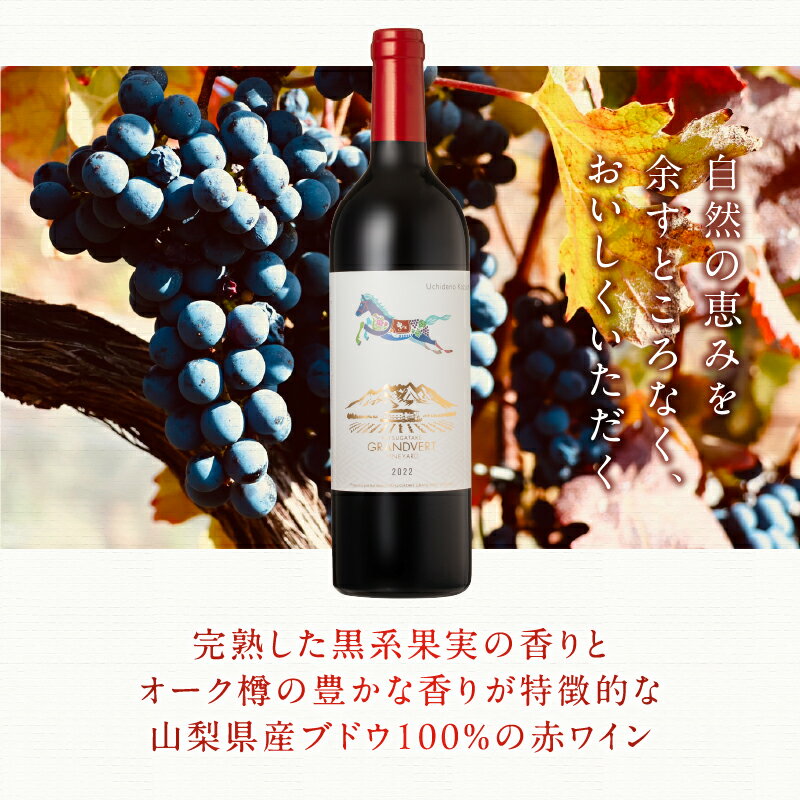 【ふるさと納税】 ワイン 赤ワイン カベルネ・ソーヴィニヨン 2022 750ml 選べる数量 1本 2本 数量限定 赤 国産ワイン 山梨県産 白州産 北杜市産 完熟 黒系果実 オーク樽 樽香 タンニン 酸味 料理に合う 記念日 贈り物 プレゼント 送料無料 サムネイル2