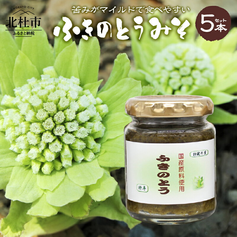 ふきのとうみそ ふきのとう 味噌 国産無添加 625g 125g×5袋 北杜市 送料無料 9000円 9000 10000円以下