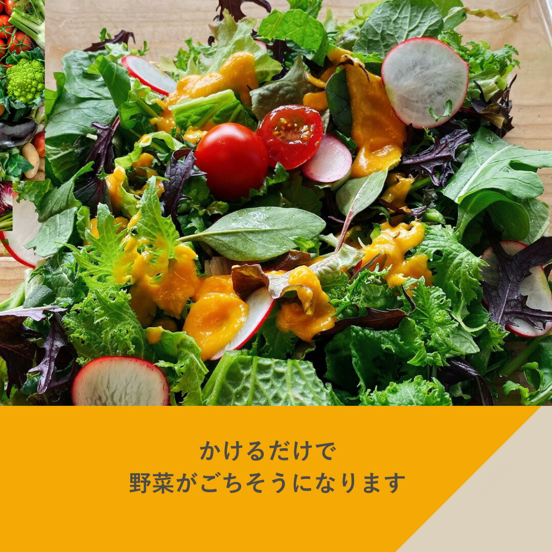 【ふるさと納税】 ドレッシング 調味料 4本 セット レギュラーサイズ 200ml×4本 フェリチタ 人参 胡麻 ビーツ オリエンタル サラダ 温野菜 蒸し料理 肉料理 たれ 食べ比べ 手づくり 八ヶ岳 栽培期間中農薬不使用 化学調味料不使用 保存料不使用 着色料不使用 送料無料 - 画像2