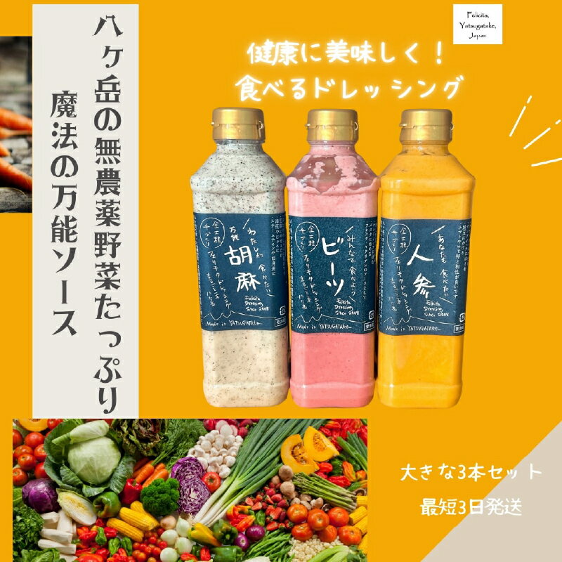 ドレッシング 540ml 3本 セット 手づくり 有機野菜 調味料 人参 ビーツ 胡麻 万能 フェリチタ サラダ 万能調味料 化学調味料不使用 保存料不使用 無着色 無添加 北杜市 送料無料