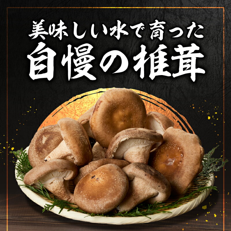 【ふるさと納税】 しいたけ 1kg 大国しいたけ 菌床しいたけ 厳選 高級 椎茸 きのこ 肉厚 ジューシー 新鮮 山梨県産 北杜市産 送料無料 - 画像2