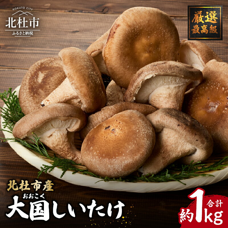 しいたけ 1kg 大国しいたけ 菌床しいたけ 厳選 高級 椎茸 きのこ 肉厚 ジューシー 新鮮 山梨県産 北杜市産 送料無料
