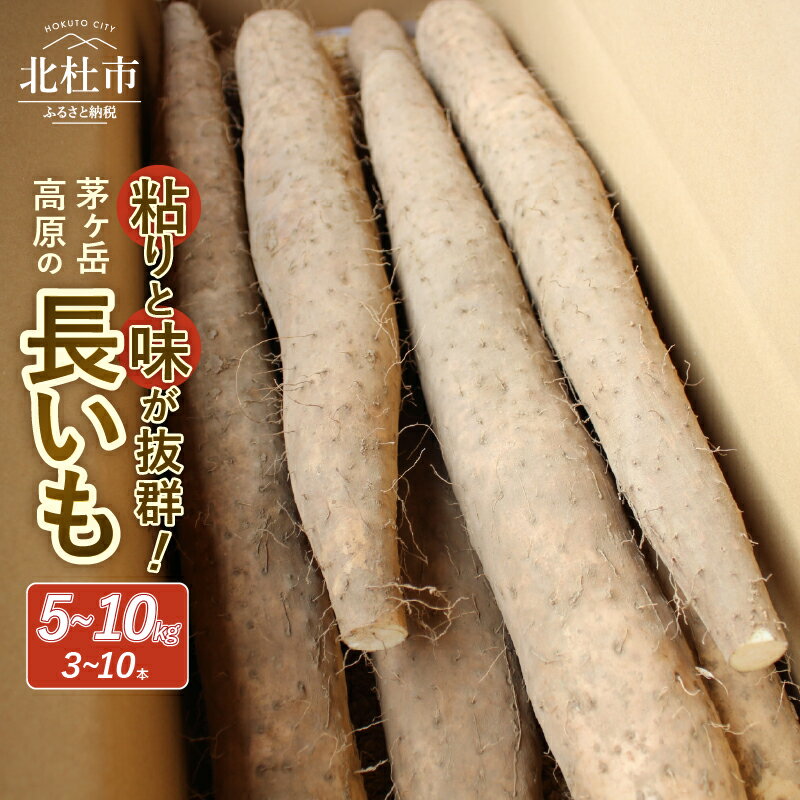 長芋 長いも 選べる容量 5kg 10kg 約3～10本 ながいも 山芋 野菜 とろろ 磯辺揚げ 粘り 期間限定 明野町 茅ヶ岳高原 山梨県 北杜市 送料無料