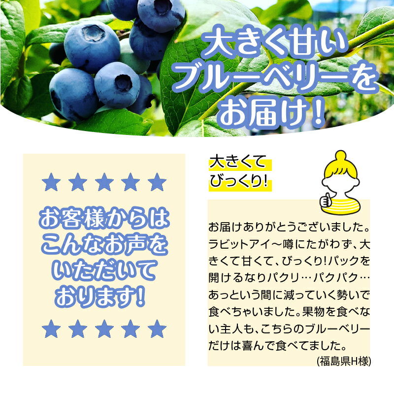 【ふるさと納税】 ブルーベリー 冷凍 2025年産 選べる容量 1kg 2kg ハイブッシュ ラビットアイ 真空パック 冷凍フルーツ 果物 甘い フルーツ くだもの ジャム ヨーグルト パンケーキ タルトトッピング 期間限定 山梨県 北杜市 送料無料 サムネイル2