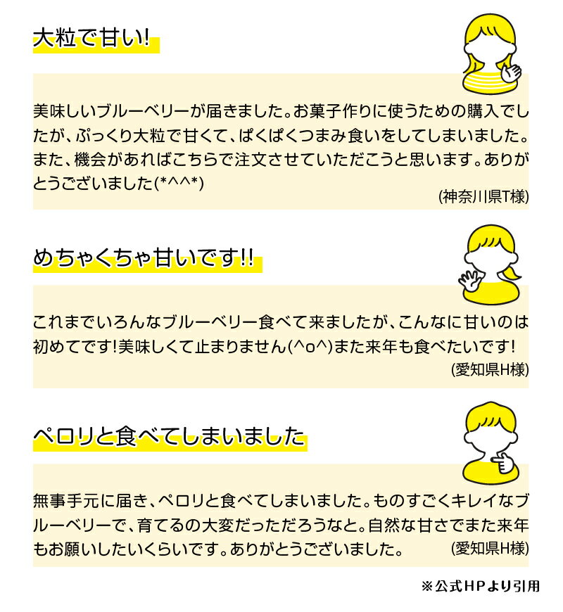 【ふるさと納税】 ブルーベリー 冷凍 2025年産 選べる容量 1kg 2kg ハイブッシュ ラビットアイ 真空パック 冷凍フルーツ 果物 甘い フルーツ くだもの ジャム ヨーグルト パンケーキ タルトトッピング 期間限定 山梨県 北杜市 送料無料 サムネイル3