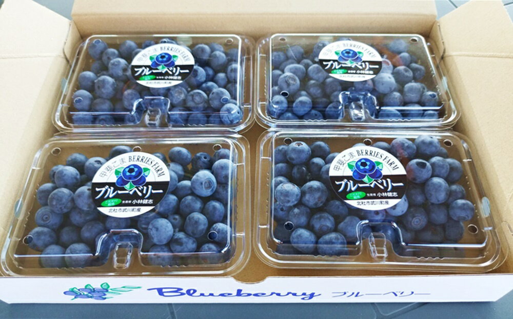 【ふるさと納税】 ブルーベリー 完熟 大粒 【2026年先行予約】 選べる容量 計500g 計1kg ラビットアイ・ブルーベリー 甘い フルーツ くだもの 冷蔵 ヨーグルト パンケーキ トッピング 期間限定 7月～8月発送 山梨県 北杜市 送料無料 サムネイル3
