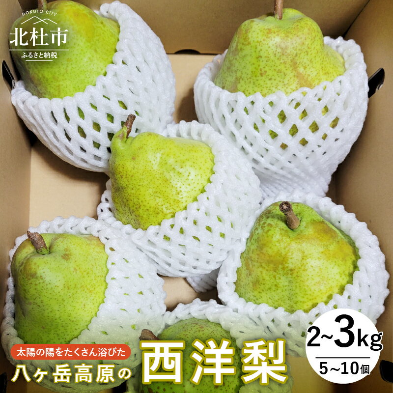 西洋梨 先行予約 選べる容量 2kg 3kg ラ・フランス シルバーベル 期間限定 数量限定 山梨県産 八ヶ岳高原 有機肥料 低農薬 甘い ラフランス 梨 フルーツ 果物 青果物 送料無料 【2025年先行予約】