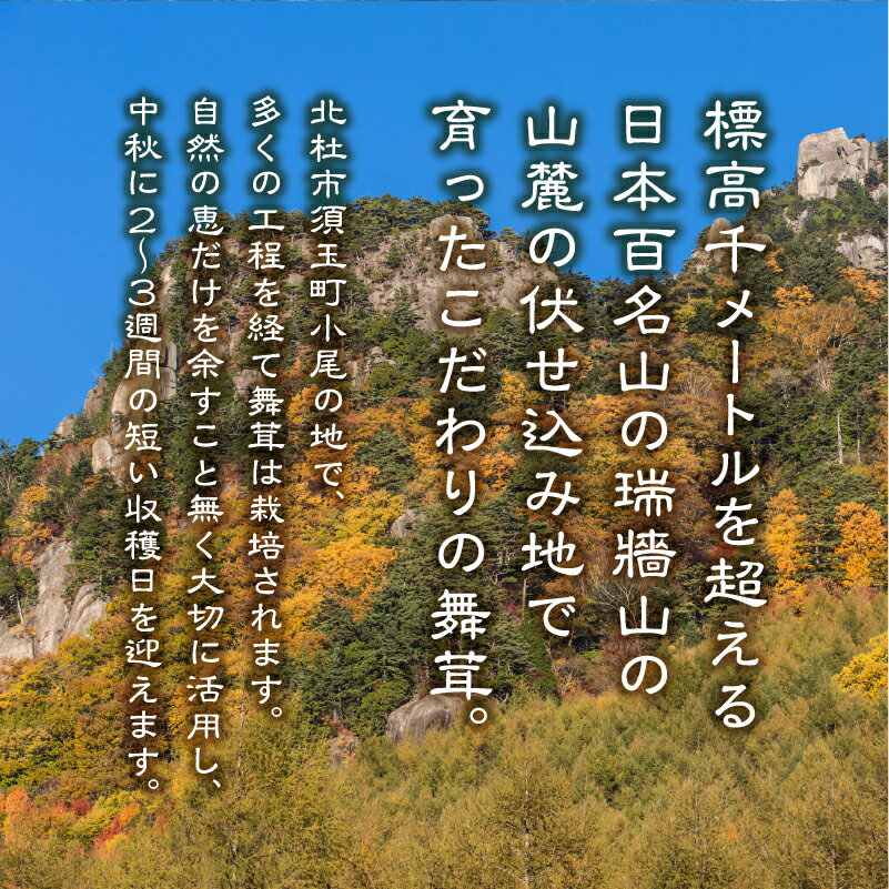 【ふるさと納税】 令和7年産 舞茸 原木舞茸 まいたけ きのこ キノコ 肉厚 選べる容量 約450g 約1kg 期間限定 人気 家庭用 ナラの木 芳醇 新鮮 山梨県 北杜市 須玉町産 増富天空の舞茸 送料無料 - 画像2