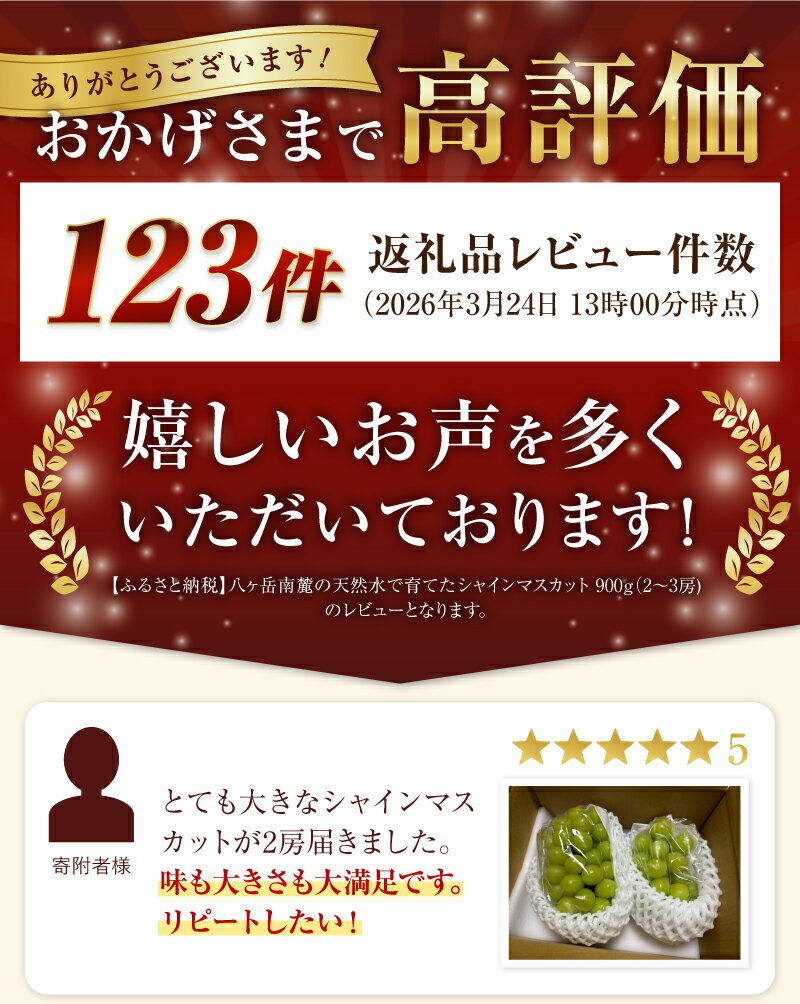 【ふるさと納税】 シャインマスカット 900g 2～3房 山梨 数量限定 期間限定 フルーツ 果物 くだもの マスカット 2026年 発送 旬 高級 先行予約 ぶどう ブドウ 葡萄 国産 新鮮 ジューシー 山梨県産 北杜市 人気 お取り寄せ 送料無料 10000円 以内 - 画像2