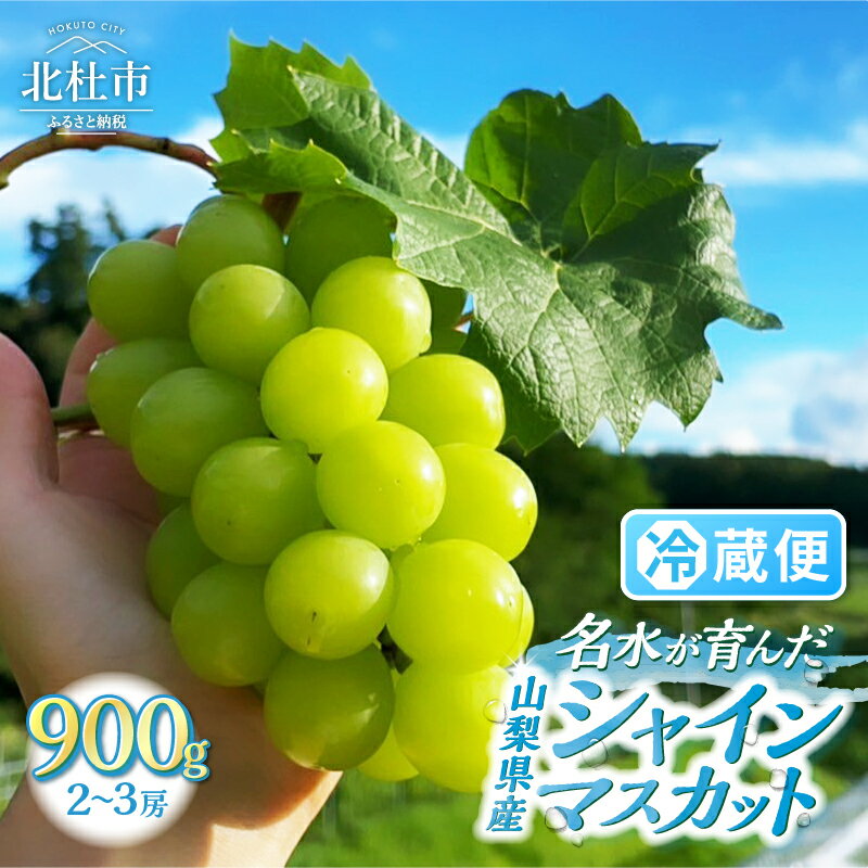 シャインマスカット 900g 2～3房 山梨 数量限定 期間限定 フルーツ 果物 くだもの マスカット 2026年 発送 旬 高級 先行予約 ぶどう ブドウ 葡萄 国産 新鮮 ジューシー 山梨県産 北杜市 人気 お取り寄せ 送料無料 10000円 以内