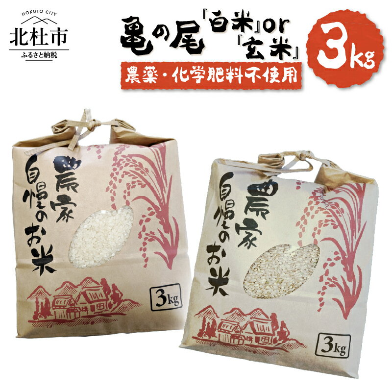 米 令和7年度米 白州米 亀の尾 3kg 選べる種類 白米 玄米 農薬不使用 化学肥料不使用 天日干し 幻の米 希少 低タンパク 山梨県 北杜市 送料無料