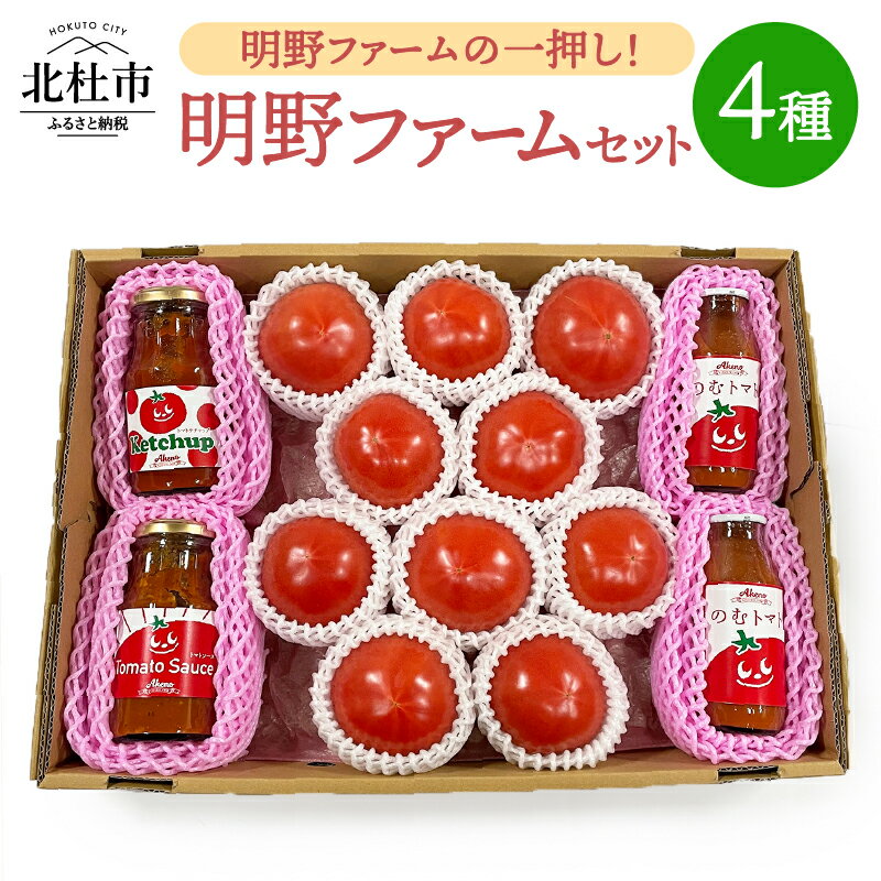 トマト 約1kg ケチャップ トマトソース ジュース セット 新鮮 野菜 明野とまと 九州屋ファーム 山梨県 北杜市 送料無料