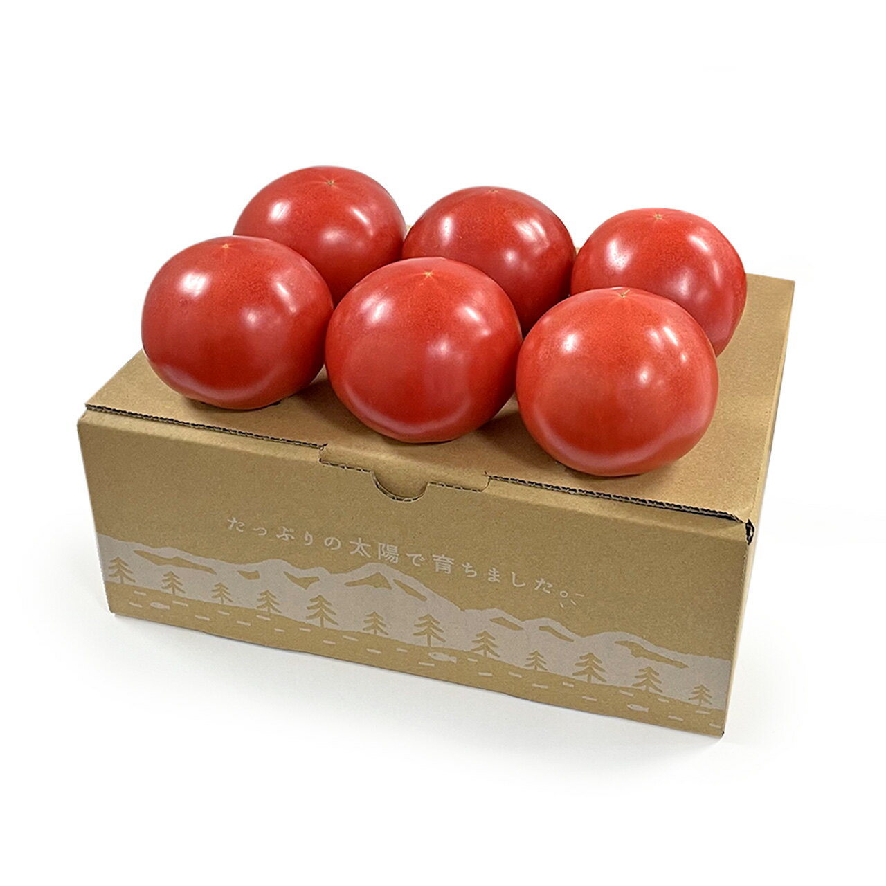 【ふるさと納税】 トマト 詰め合わせ 約1kg セット 新鮮 明野とまと 九州屋ファーム 山梨県 北杜市 送料無料 6000円 6000 10000円以下 - 画像2