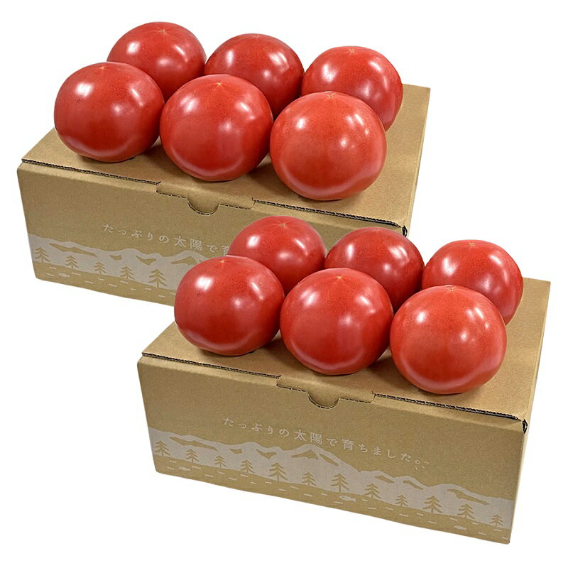 【ふるさと納税】 トマト 詰め合わせ 約2kg セット 新鮮 約1kg×2箱 明野とまと 九州屋ファーム 山梨県 北杜市 送料無料 9000円 9000 10000円以下 - 画像2