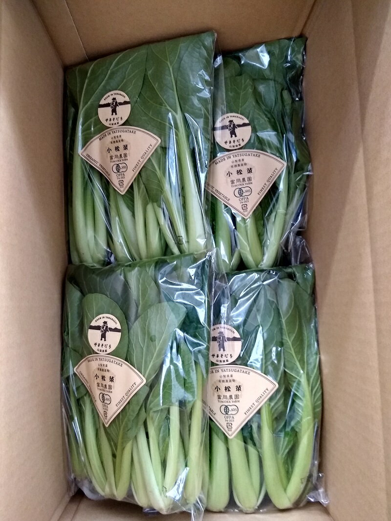 【ふるさと納税】 トマト ケチャップ ジュース 有機野菜 おまかせ 6種 バラエティセット 新鮮 野菜 明野とまと 九州屋ファーム 山梨県 北杜市 仕送りギフト - 画像3