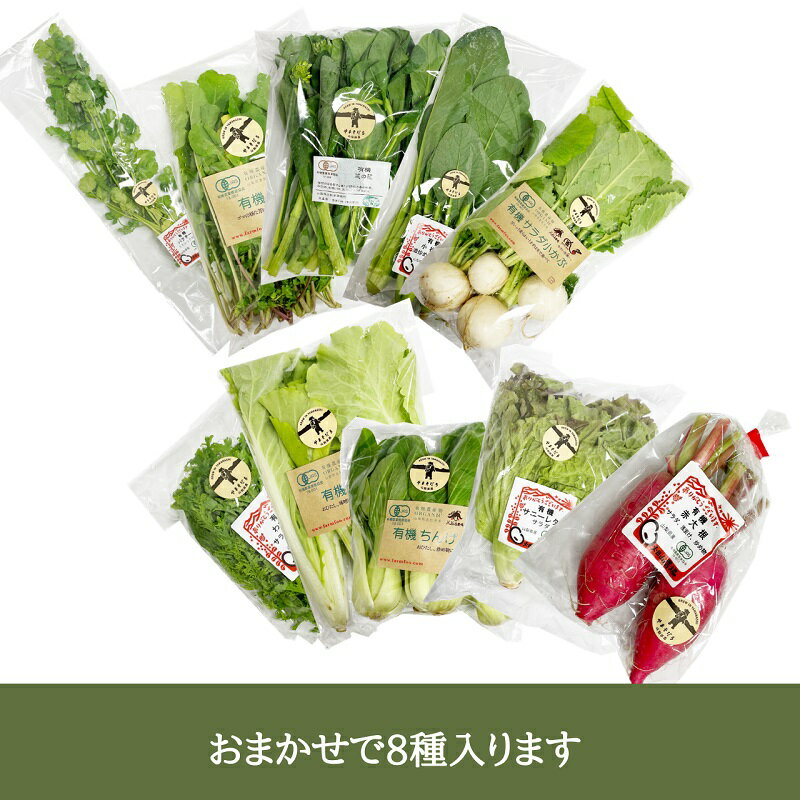 【ふるさと納税】 有機野菜 おまかせ 8種 セット 新鮮 九州屋ファーム 明野 山梨県 北杜市 仕送りギフト - 画像2