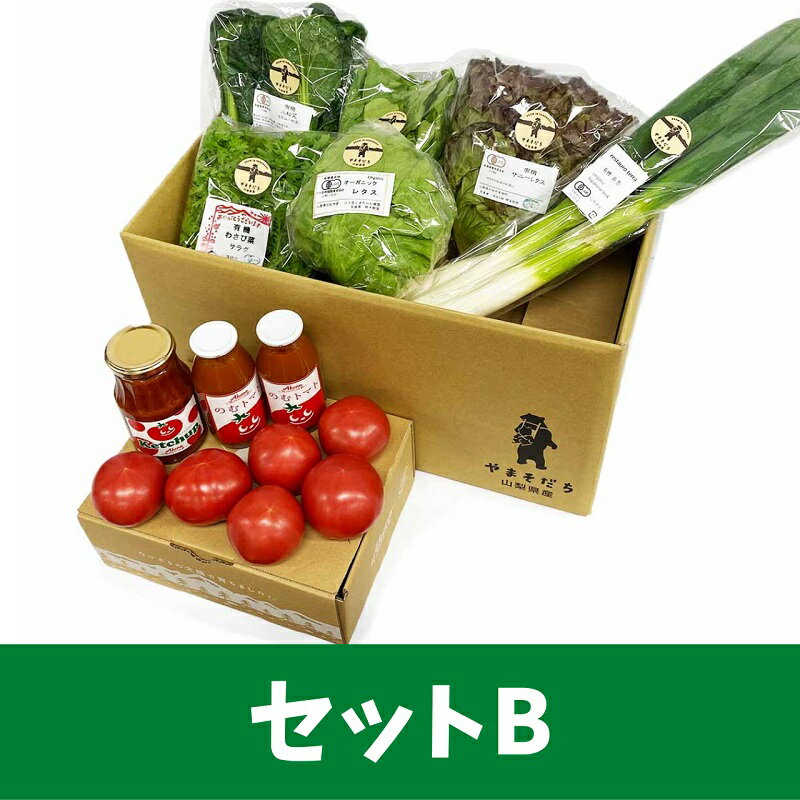 【ふるさと納税】 トマト ケチャップ ジュース 有機野菜 おまかせ 6種 バラエティセット 新鮮 野菜 明野とまと 九州屋ファーム 山梨県 北杜市 仕送りギフト - 画像2