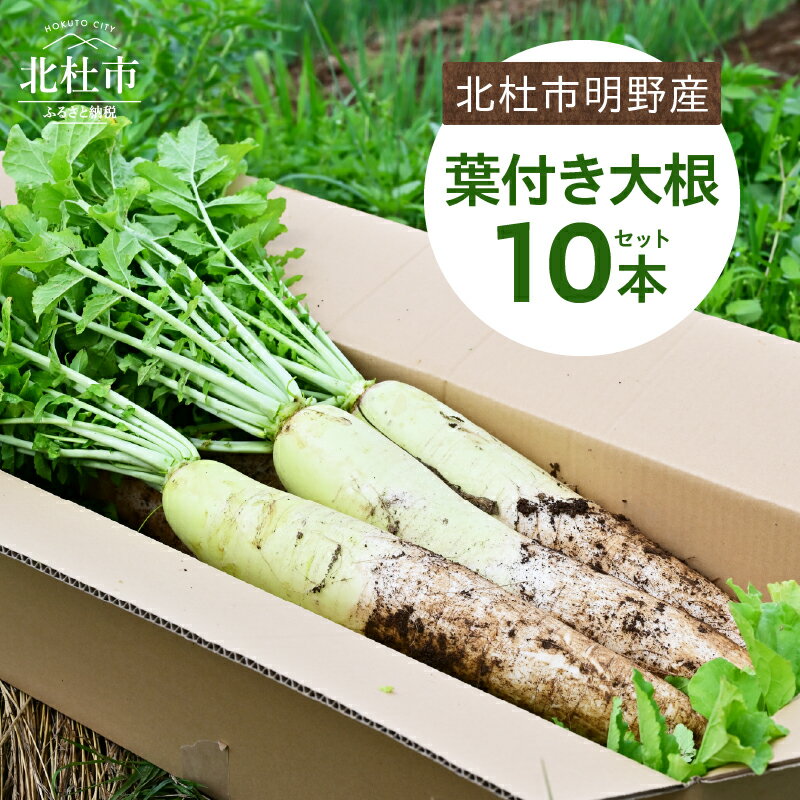 【2026年先行予約】 葉付き 大根 10本 セット 野菜 10kg程度 北杜市明野産 ダイコン 農薬不使用 有機肥料 新鮮 大根葉 生食 煮物 期間限定 山梨県 北杜市 送料無料 10000円 10000 1万円