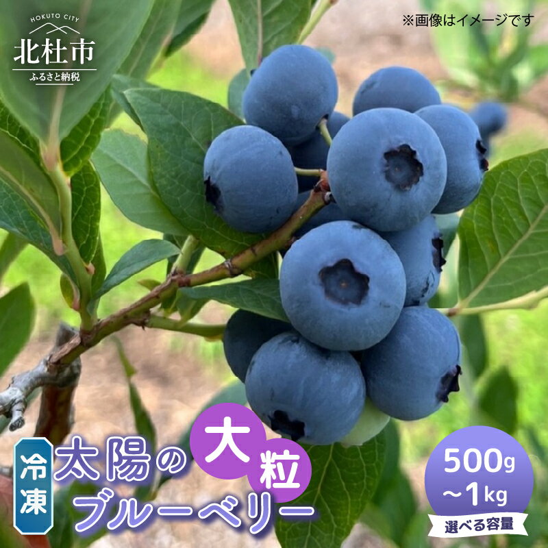 冷凍 選べる容量 500g 1000g 大粒 無農薬 期間限定 数量限定 フルーツ くだもの 冷凍フルーツ 新鮮 ジュース ジャム お菓子 山梨県 北杜市 明野町 送料無料 8000円 8000 10000円以下