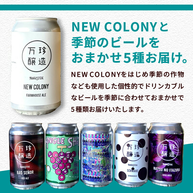 【ふるさと納税】 ビール クラフトビール 350ml 6本 6缶 セット 6種 セレクト 季節のおまかせ 冷蔵 国産 セゾン酵母 ドライ 万珍醸造 酒 お酒 ビール 麦酒 アルコール 山梨県 北杜市産 送料無料 サムネイル2
