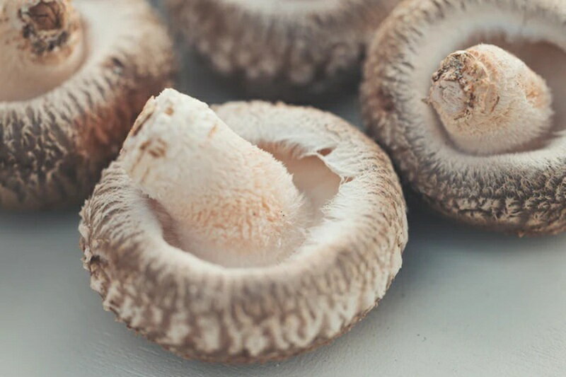 【ふるさと納税】 しいたけ 原木しいたけ 1箱 750g きのこ 椎茸 八ヶ岳 湧水 栄養 菌打ち 収穫 料理 冷蔵 山梨県 北杜市 送料無料 - 画像2