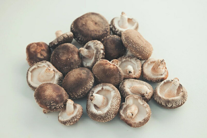 【ふるさと納税】 しいたけ 原木しいたけ 1箱 750g きのこ 椎茸 八ヶ岳 湧水 栄養 菌打ち 収穫 料理 冷蔵 山梨県 北杜市 送料無料 - 画像3