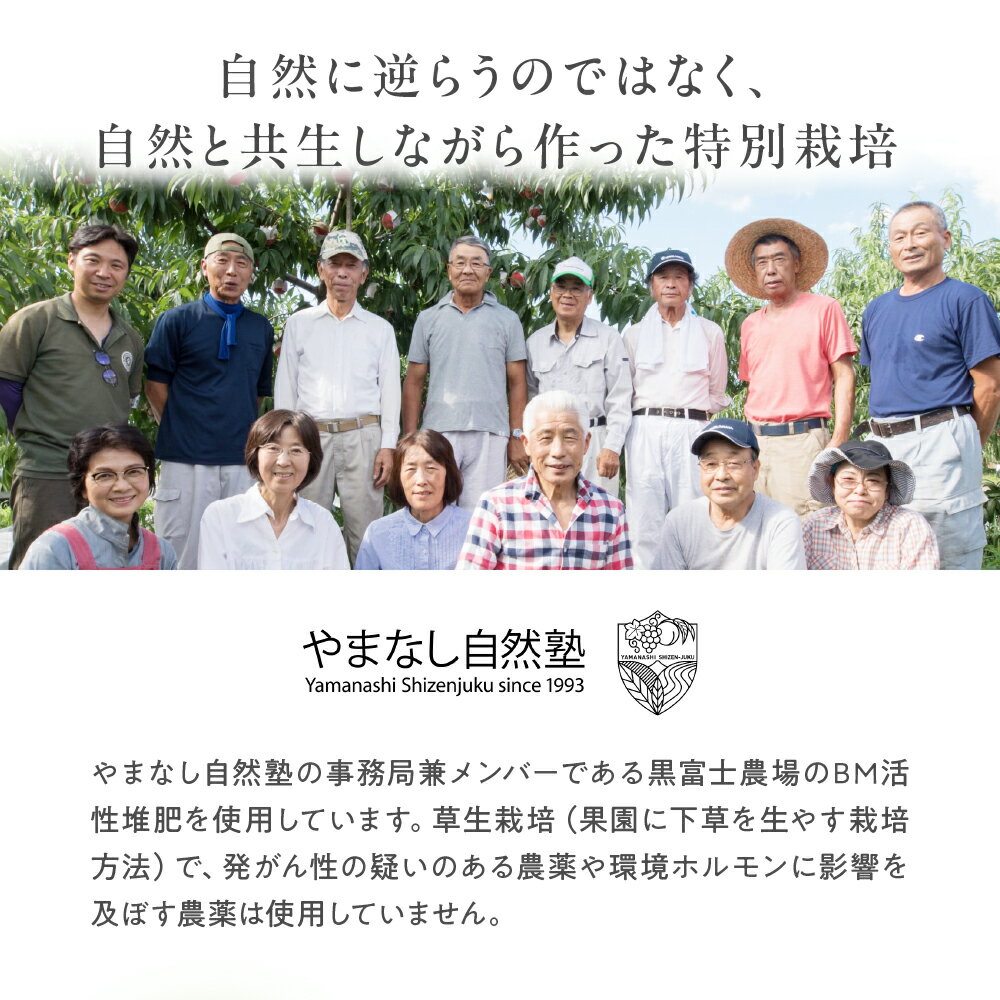 【ふるさと納税】 【2025年発送】『特別栽培』自然塾冬のシャインマスカット 約700g～1.4kg BM-2 サムネイル3